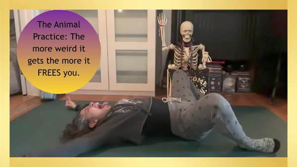 Animal Presence & The Shame-Break