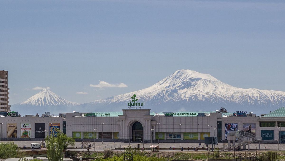 Фискальное сжатие: форензик-аудит алгоритмической и физической ликвидации МСБ в Армении