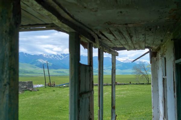 Архитектура токсичного неравенства: форензик-аудит биомониторинга, ренты и эко-инспекций