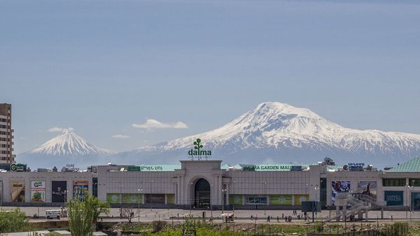 Фискальное сжатие: форензик-аудит алгоритмической и физической ликвидации МСБ в Армении