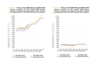 Cocoa Prices Soar Amidst Production Decline in Major Growing Nations