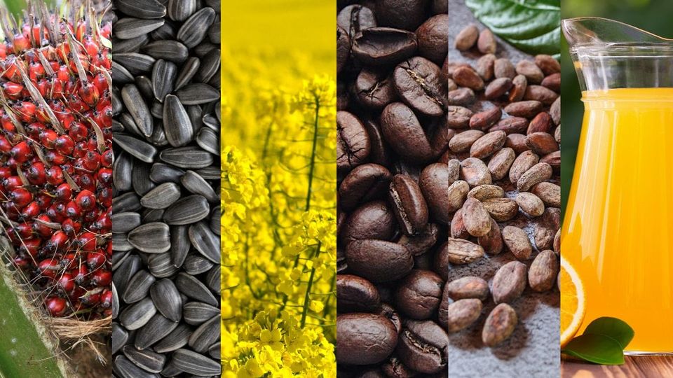 Ag Futures: Key Parameters and Drivers (Part 1)