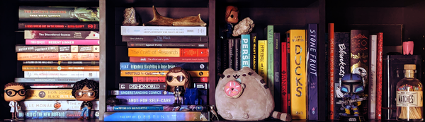 A cross section of a bookshelf with matches. 