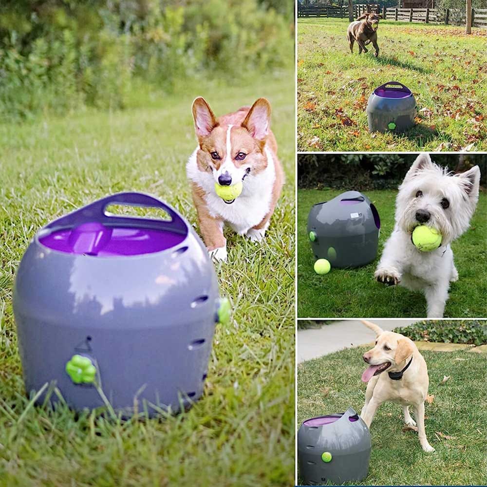 Automatic dog ball launcher with adjustable distance settings and motion sensor — hands-free fetch machine for indoor and outdoor play