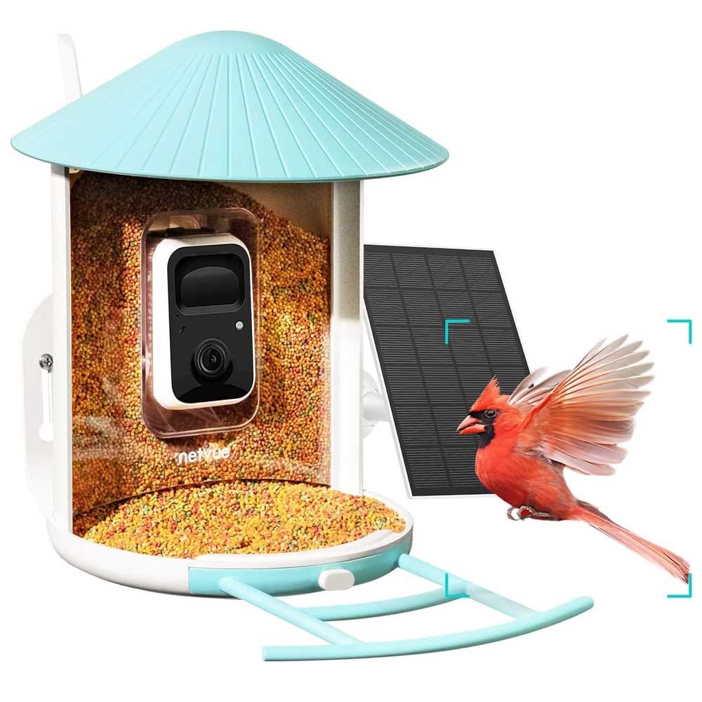 Smart bird feeder with built-in camera and solar panel — a tech-savvy, nature-loving gift for Grandpa to enjoy backyard birdwatching from his phone