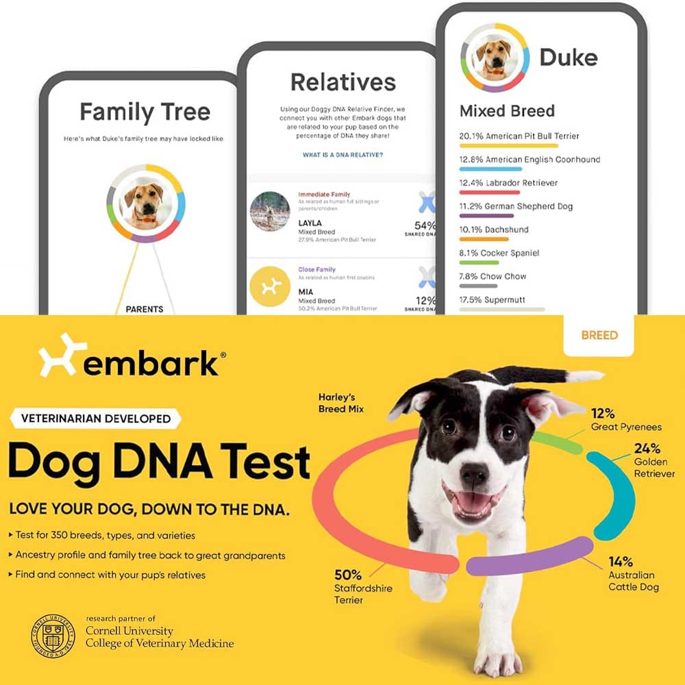 Embark dog DNA test kit — discover breed mix, ancestry, health traits, and connect with canine relatives