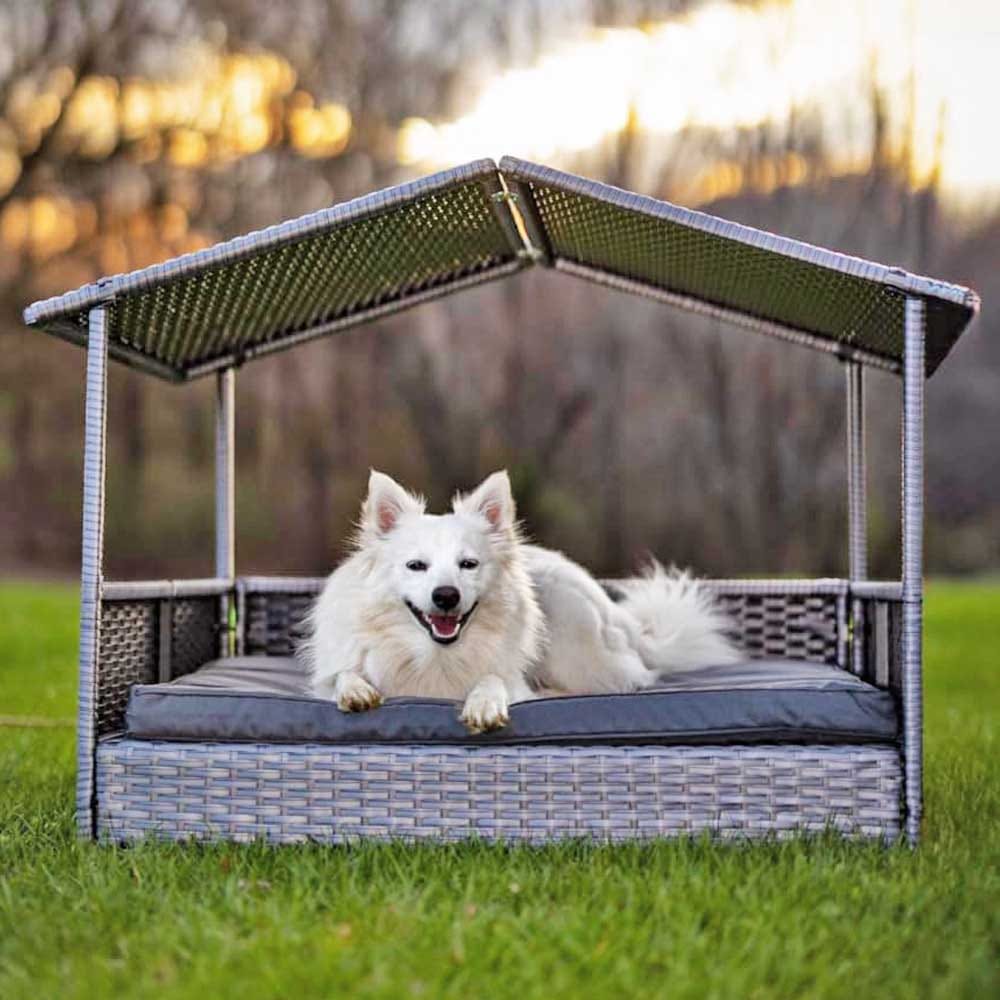 Outdoor wicker dog house with canopy and cushion — stylish, weather-resistant pet shelter for lounging, shade, and comfort