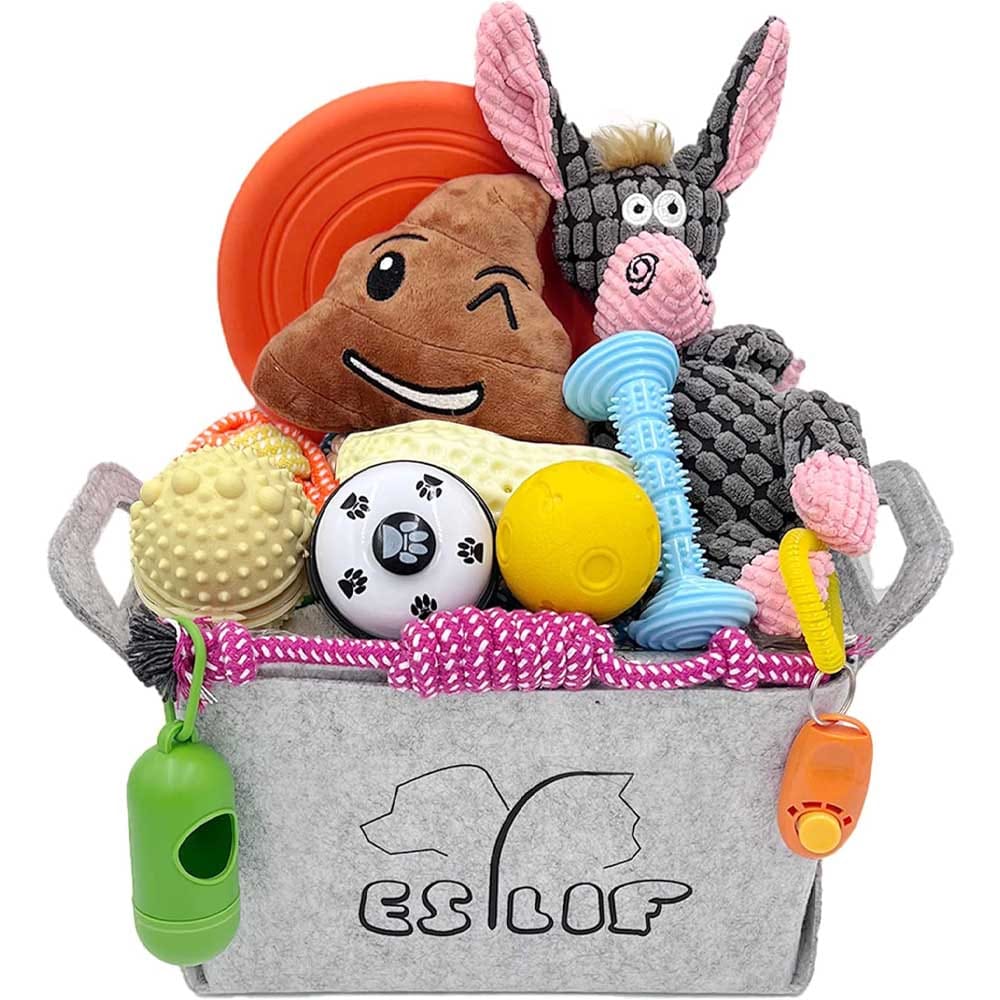 20-piece dog toy gift basket including rope toys, rubber chews, plush squeakers, and training tools — ideal for teething and interactive play