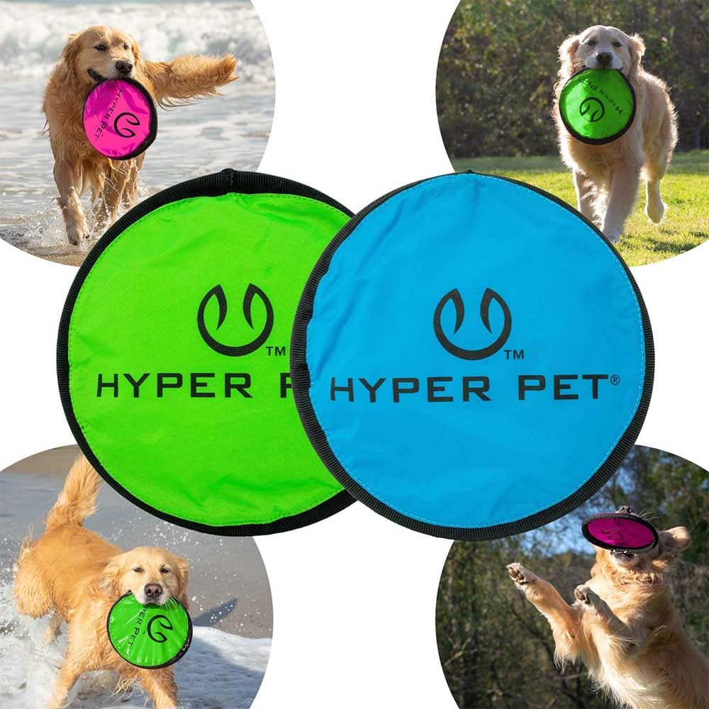 Two-pack of soft 9-inch dog flying discs that float on water — durable, gentle on teeth, perfect for outdoor fetch