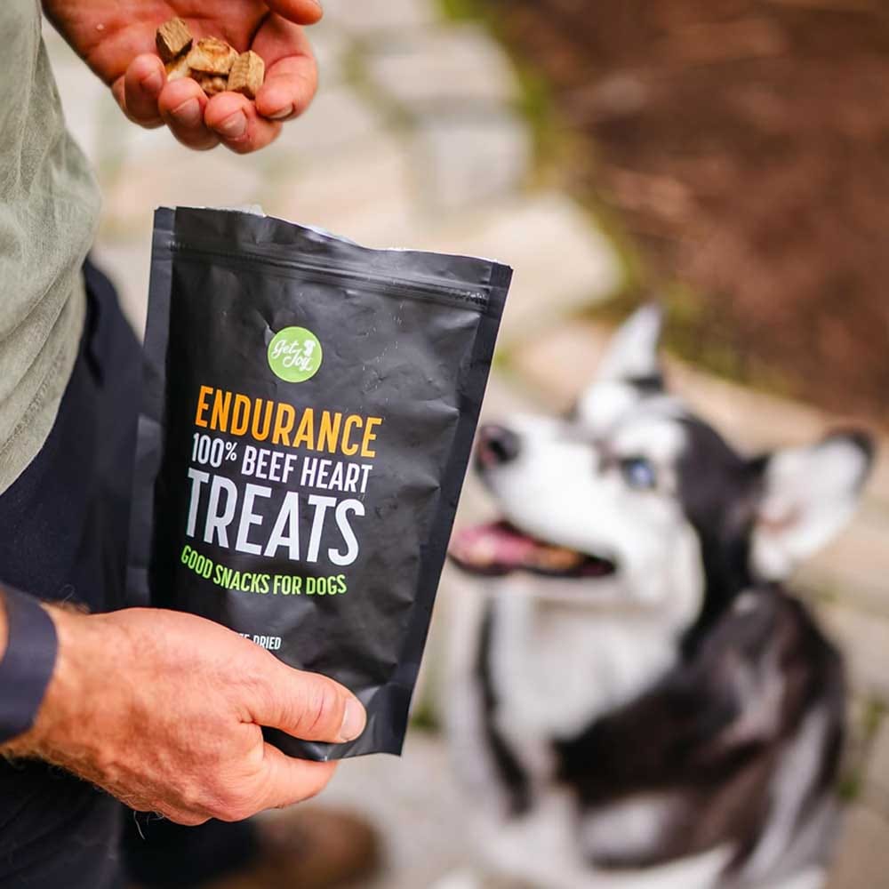 Bag of freeze-dried beef heart dog treats — high-protein, nutrient-rich, grain-free snacks for training or mealtime toppers