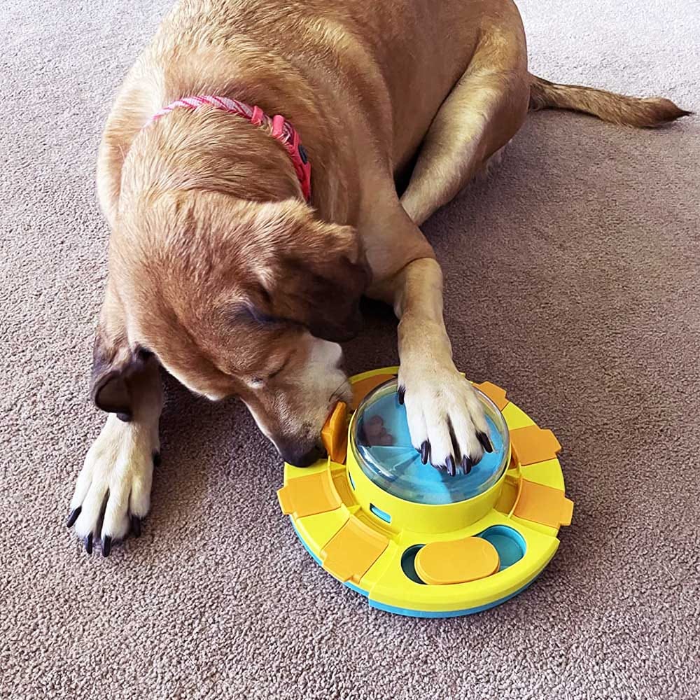 Interactive dog puzzle toy with treat compartments and slow-feeder design — boosts focus, intelligence, and mental stimulation