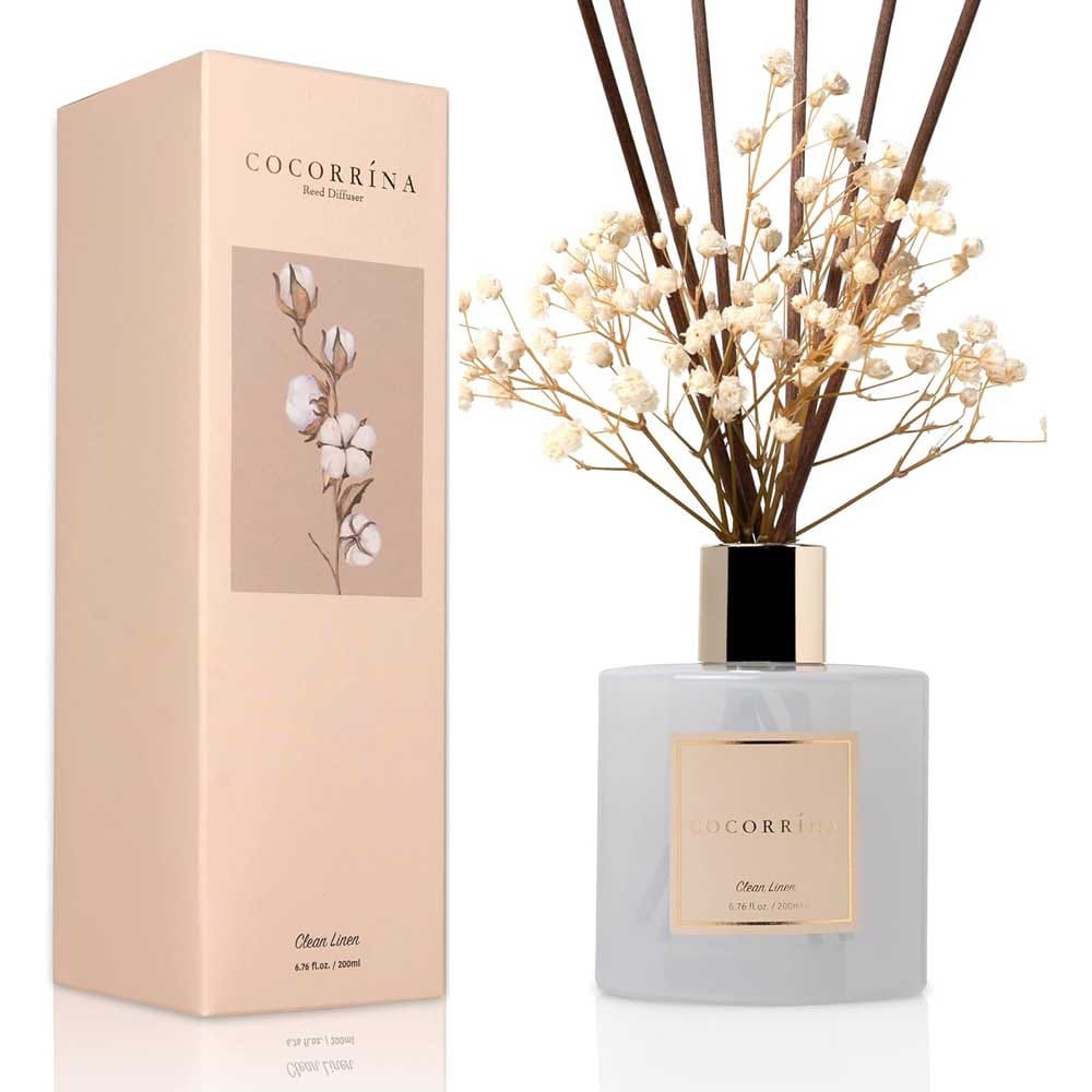 Cocorrína reed diffuser set with preserved baby’s breath, cotton sticks, and crisp fresh scent — elegant home fragrance gift for housewarmings