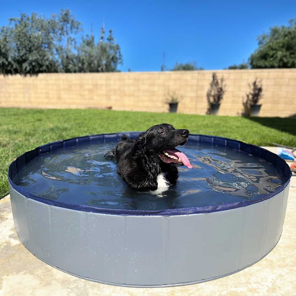 Foldable, portable dog pool with anti-slip bottom and side drain — easy to set up for summer splash time or bath days