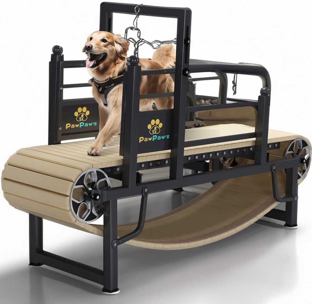 Manual dog treadmill for medium and large breeds — indoor/outdoor use, non-electric, supports up to 220 lbs