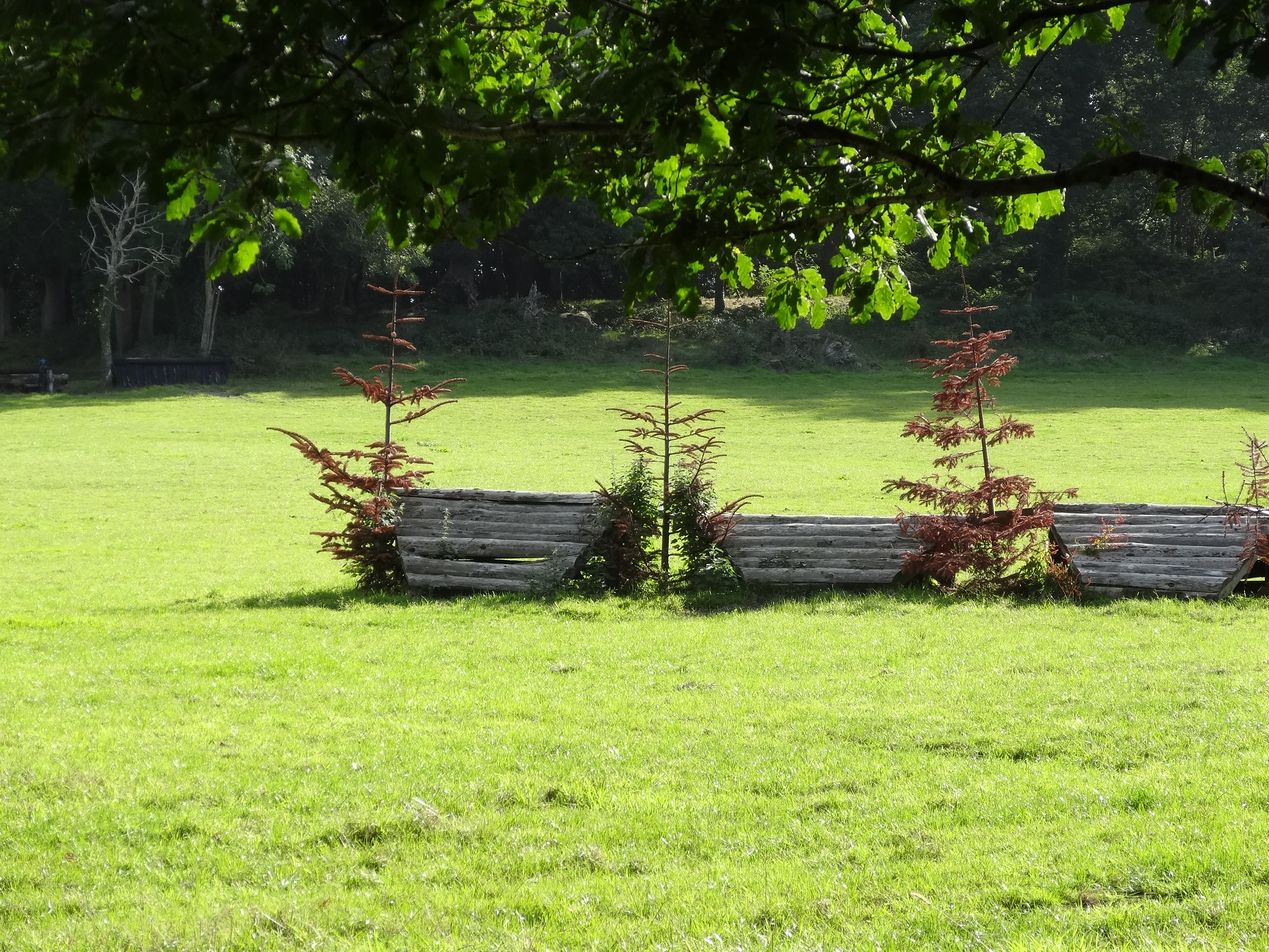 The fence in the film