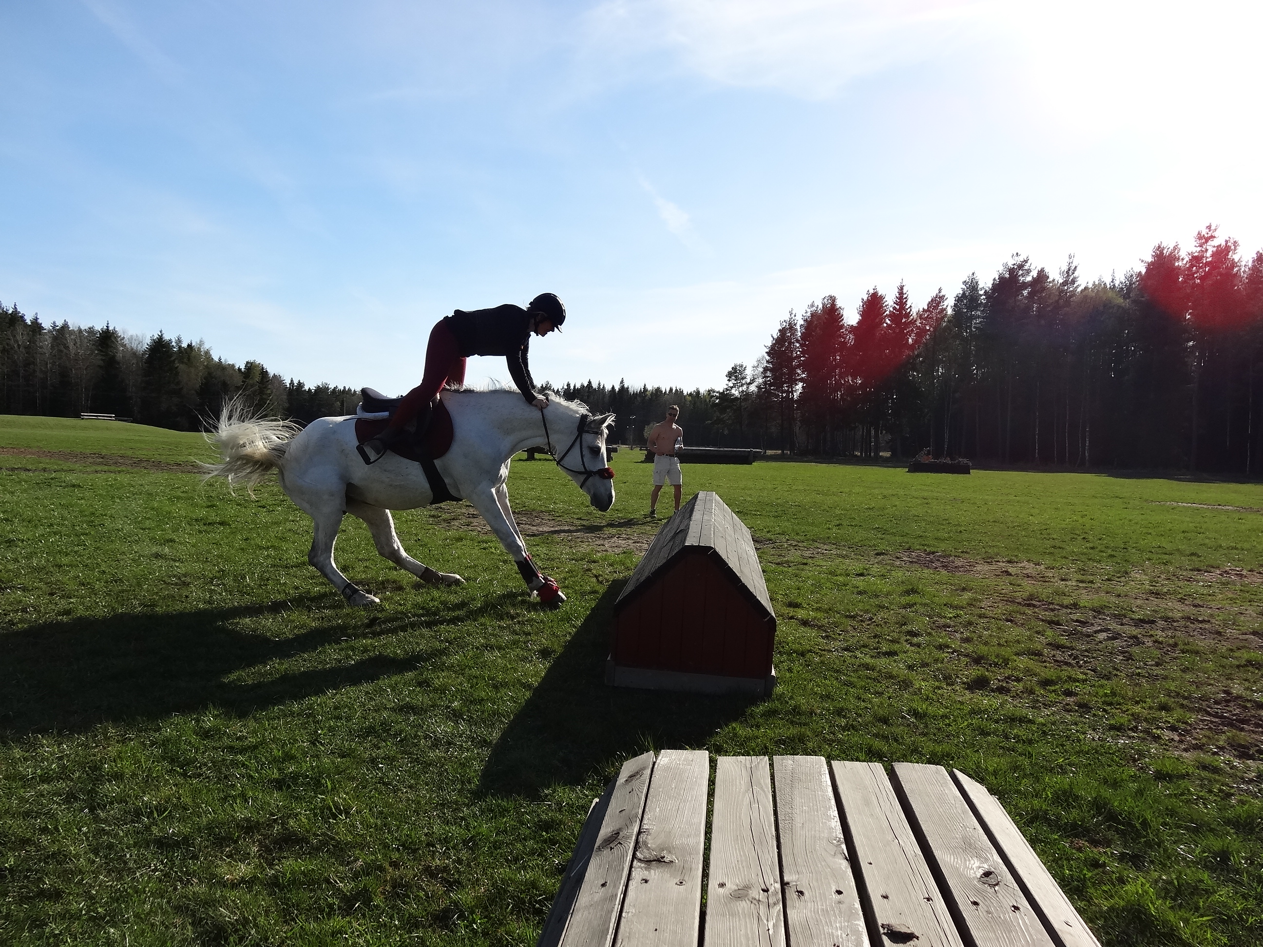 Me flying and Nemah does not