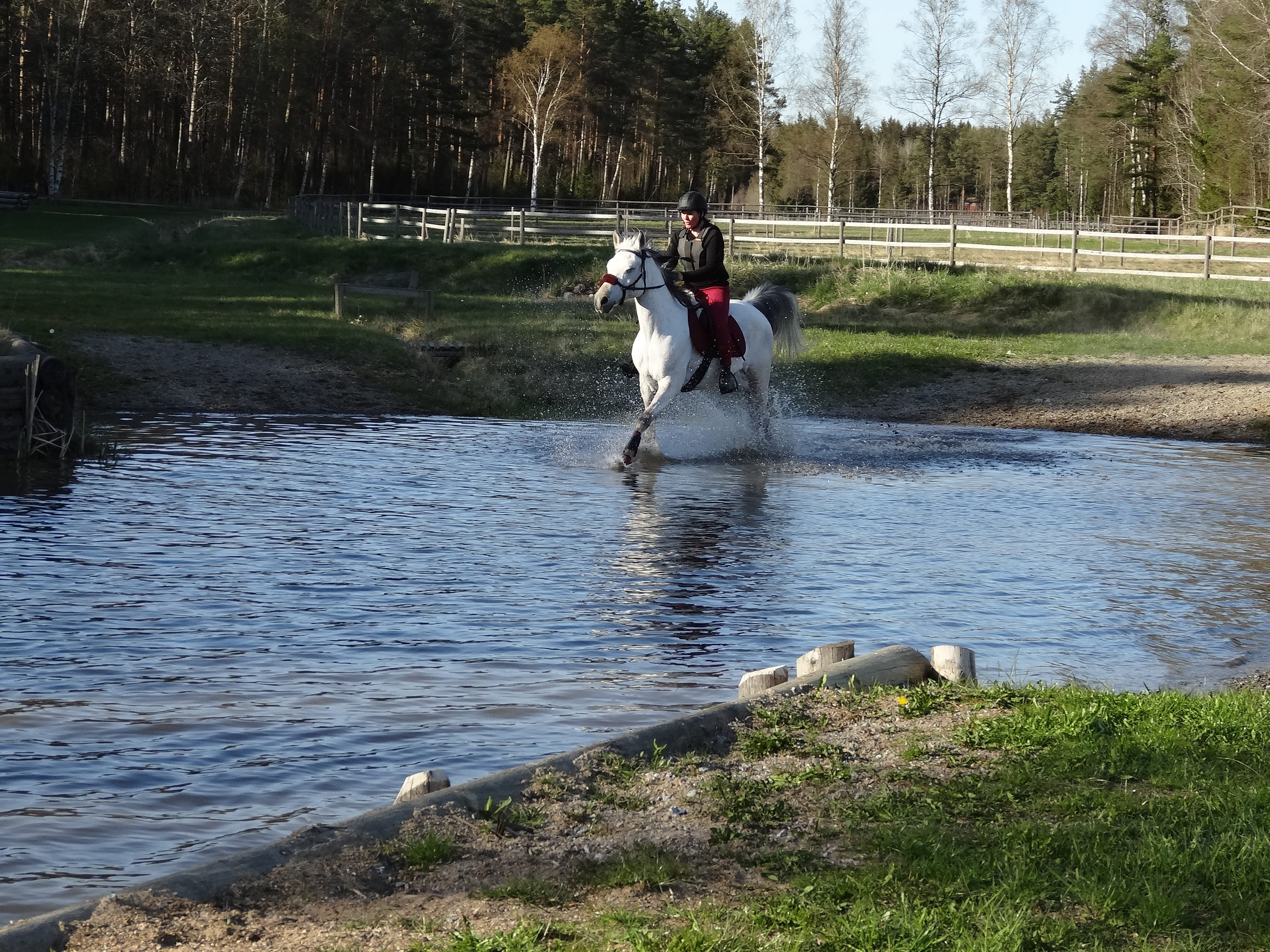 playing in the water
