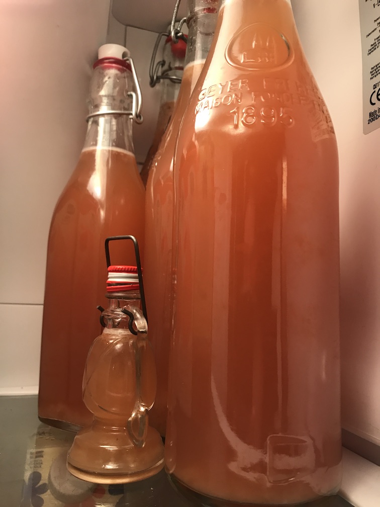 A fridge full of tepache