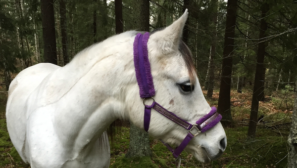 Ups and downs all at once