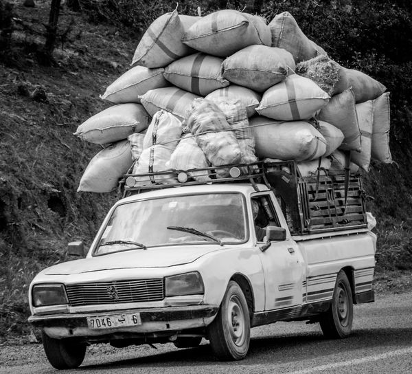 The Ideology That Called Itself Science