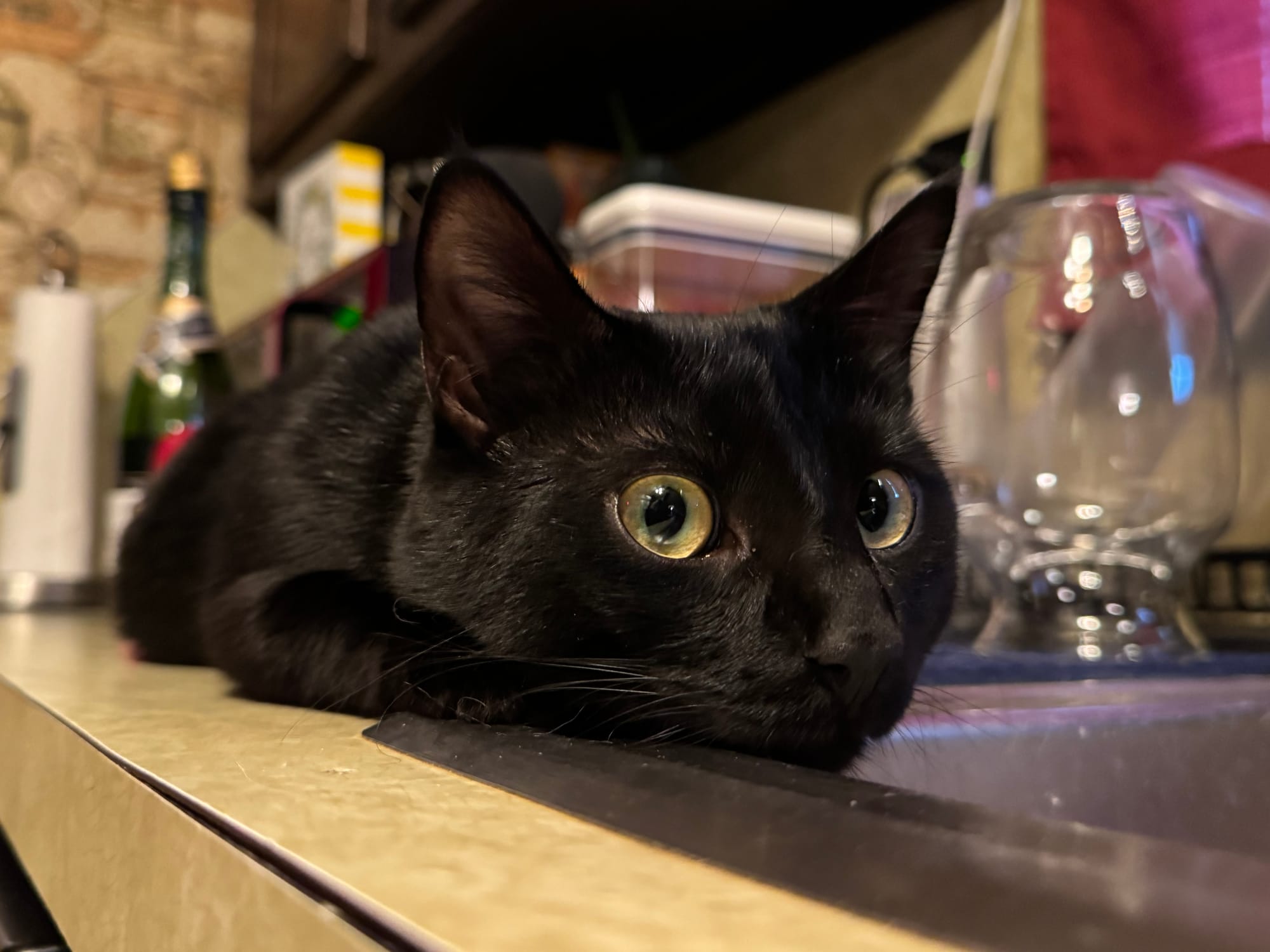 A black cat with yellow eyes lays on a warm countertop