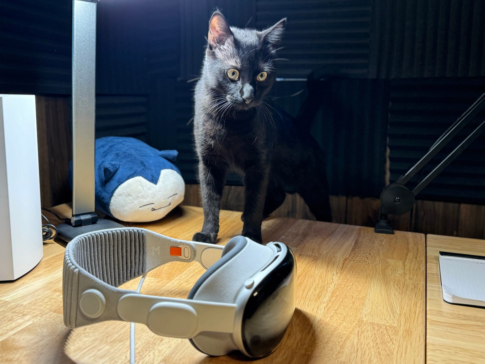 A black cat stands on a desk over the Apple Vision Pro and next to a Snorlax Pokemon plush