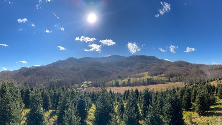 A view of the mountains near a Christmas Tree farm in North Carolina, blue skies, young evergreens, and distant mountains