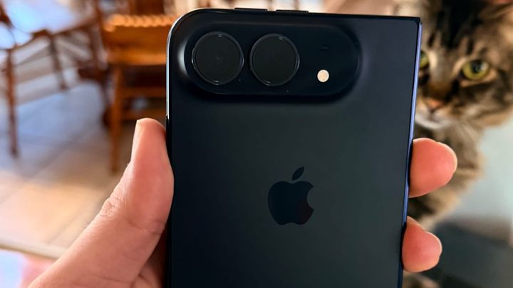 iPhone Duo back in blue held in front of a cat with brown and gray fur.
