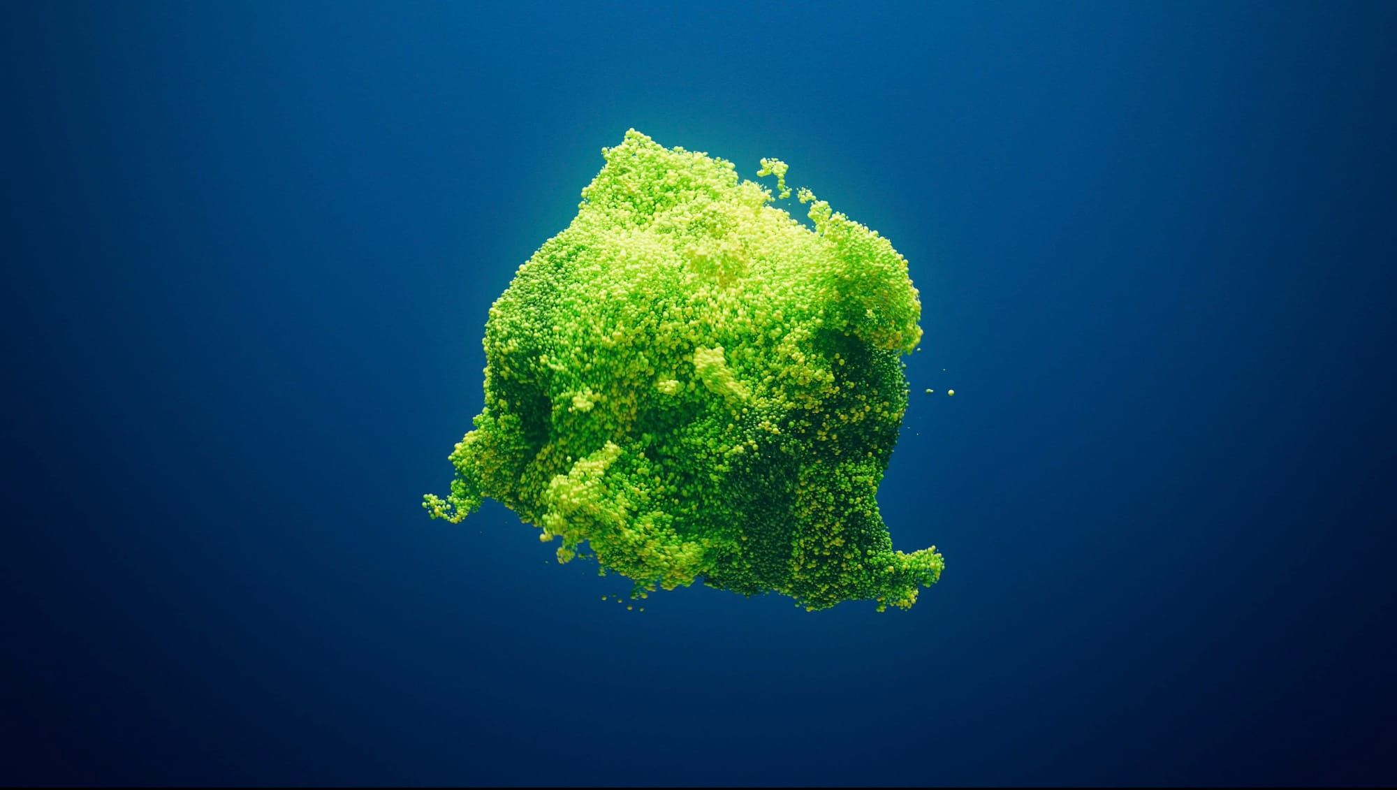 KI rechnet - wir denken