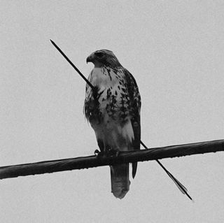 Nature is already beyond itself