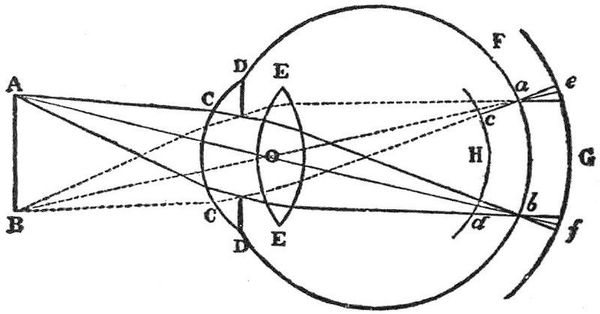 How Freud pioneered a structuralist trajectory to Brentano's phenomenology