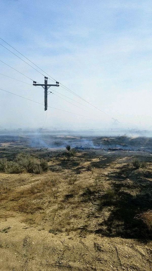 What died on the cross