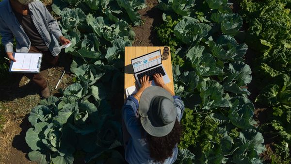 A person using a MacBook Pro in a field