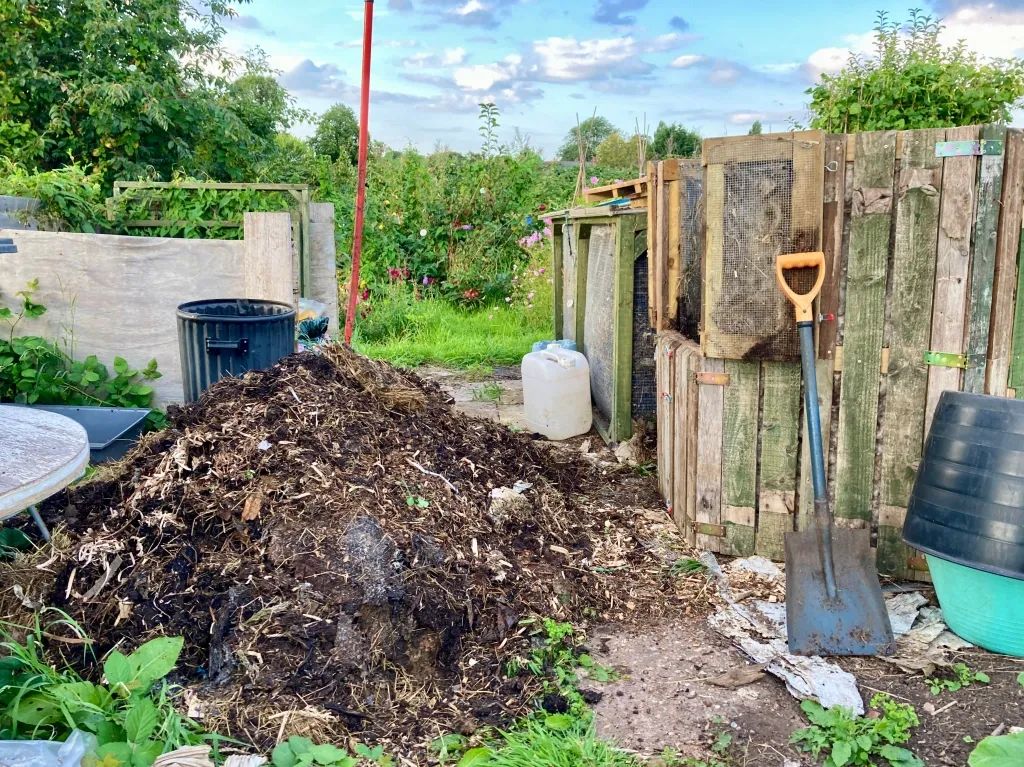 The first Aerobic Digest