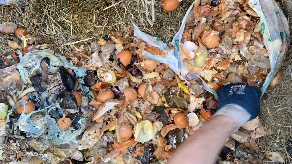 The Aerobic Digest 11: Building a heap from scratch