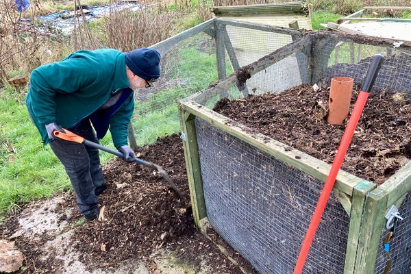 The Aerobic Digest 7: Back to the heaps