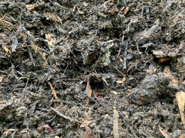 The Aerobic Digest 8: Stinky heap