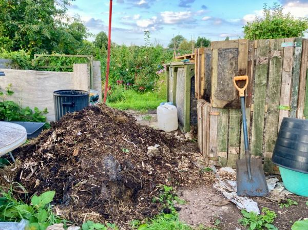 The first Aerobic Digest