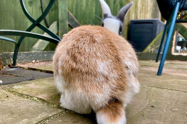 Status updates for October 2025