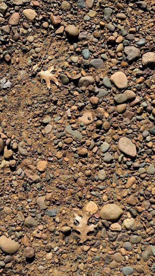 Explosed river rocks and pebbles and two of last season's leaves.