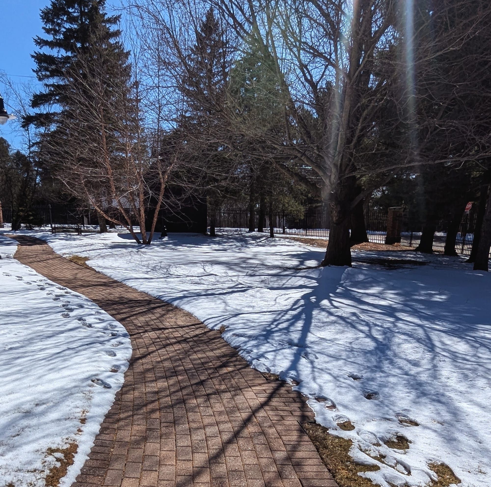 Birdishness: thoughts and art