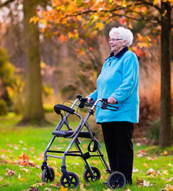 Best walking frame
