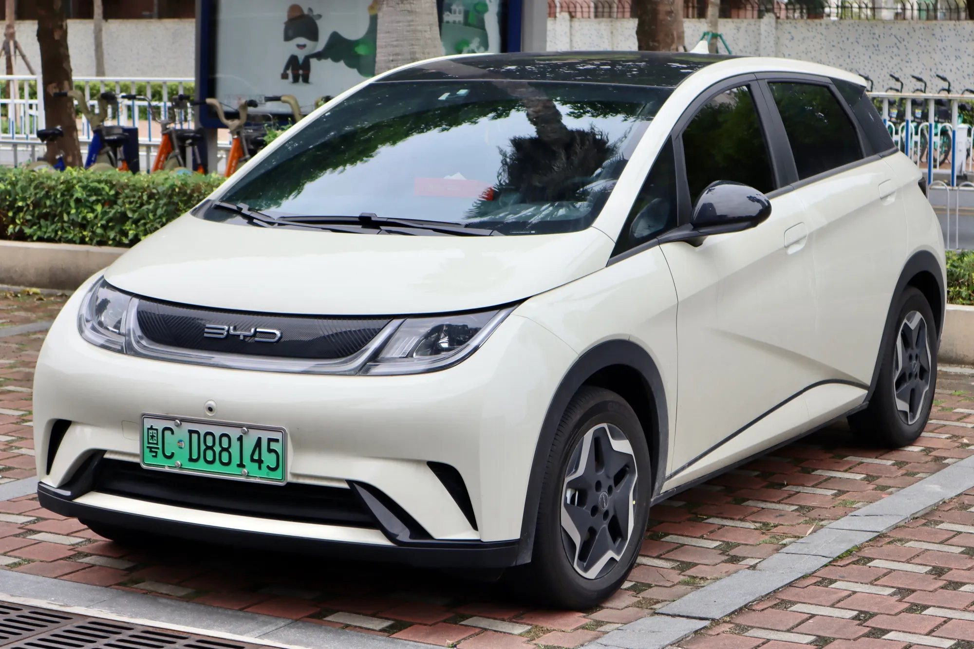 BYD Dolphin frontal en carretera