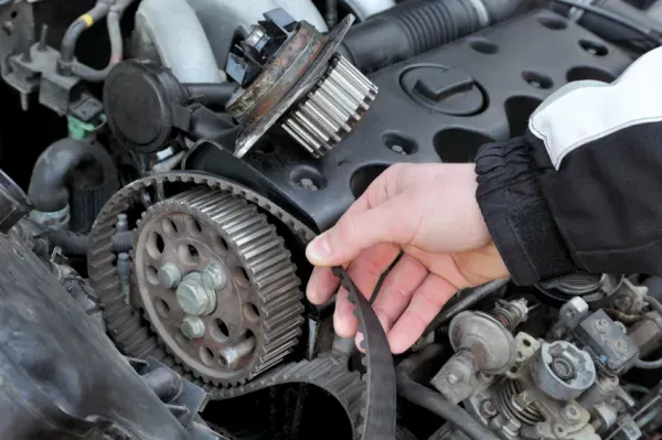 Mano sosteniendo Banda de Distribución suelta en auto