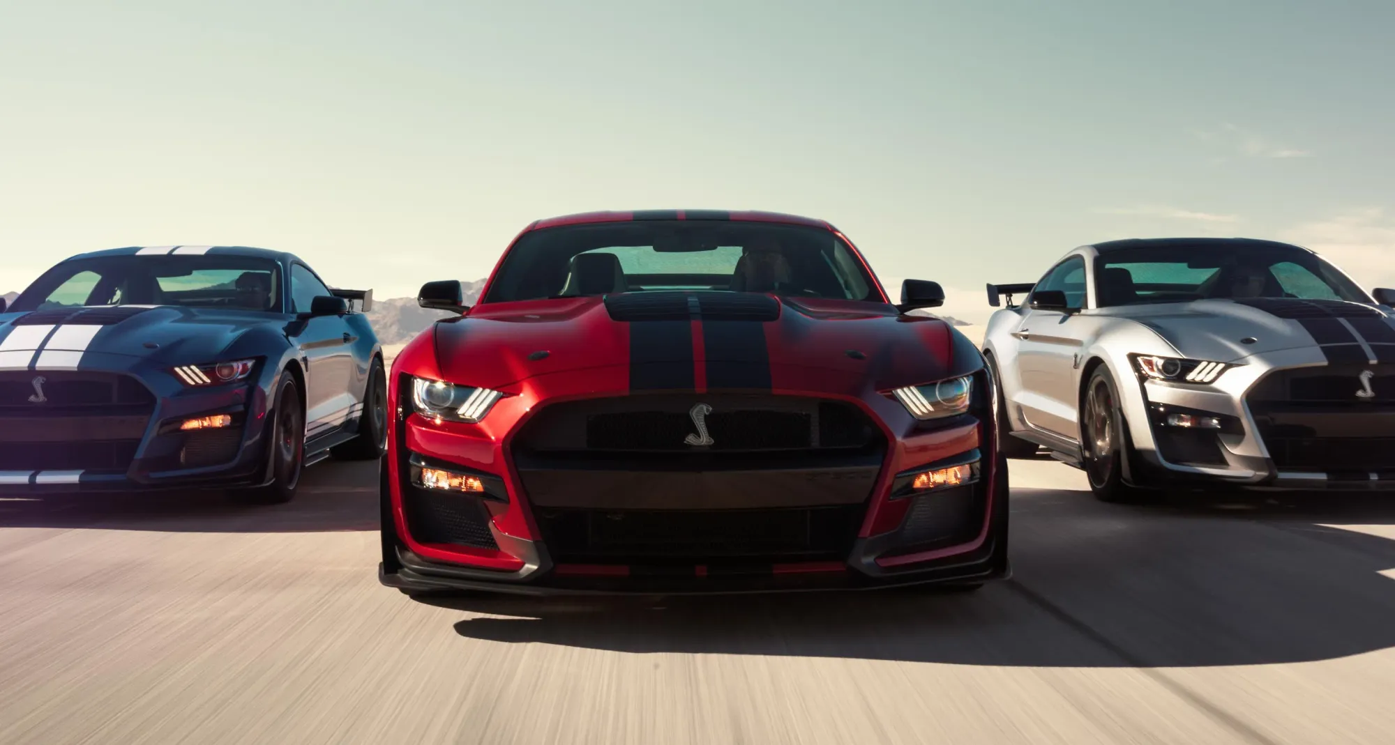 Vehículos Shelby GT500 2020 en fila