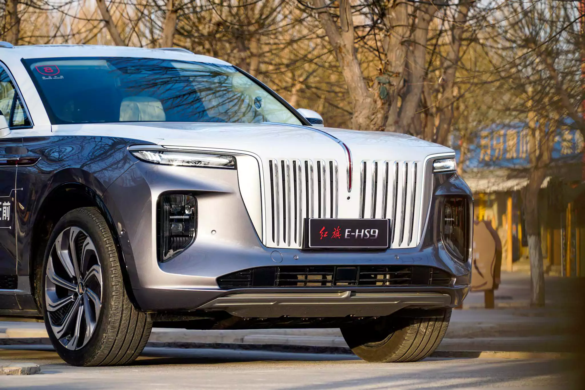 Hongqi E-HS9