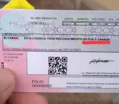 Tipos de vehículos que requieren licencia federal