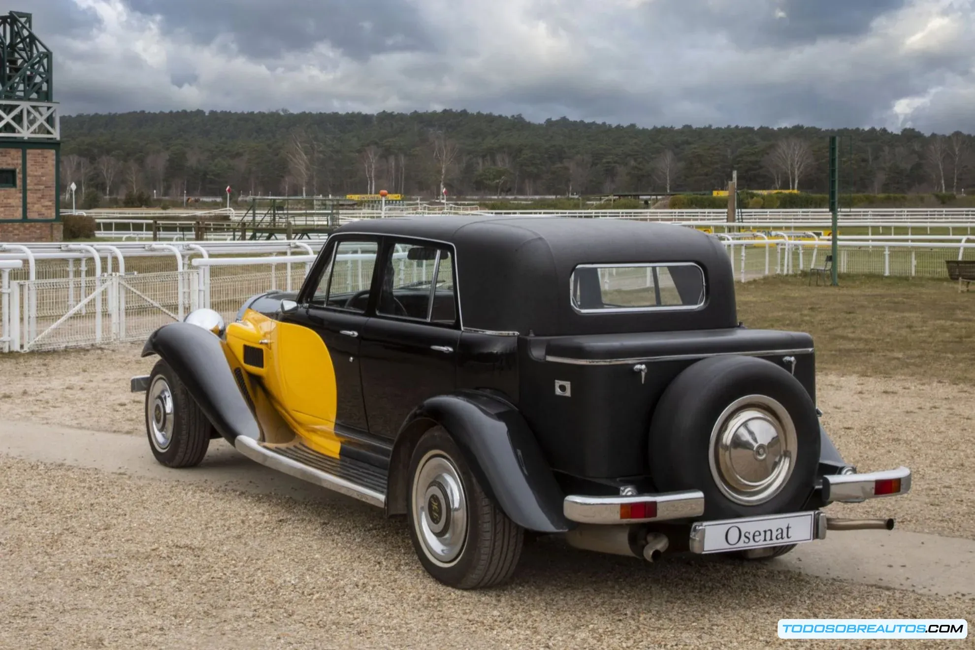 Imagen del Panther De Ville de Johnny Hallyday