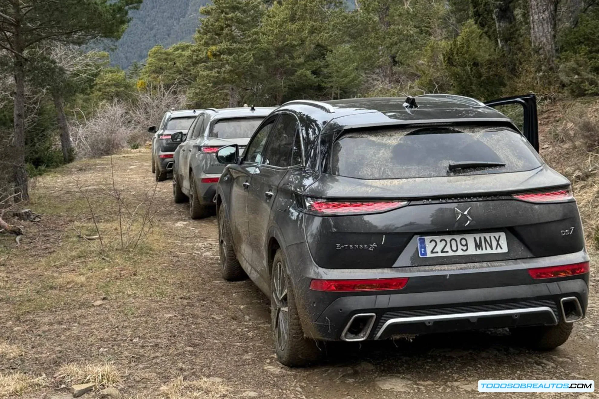 Primer plano de los neumáticos Michelin Crossclimate 2 SUV montados en el DS 7.