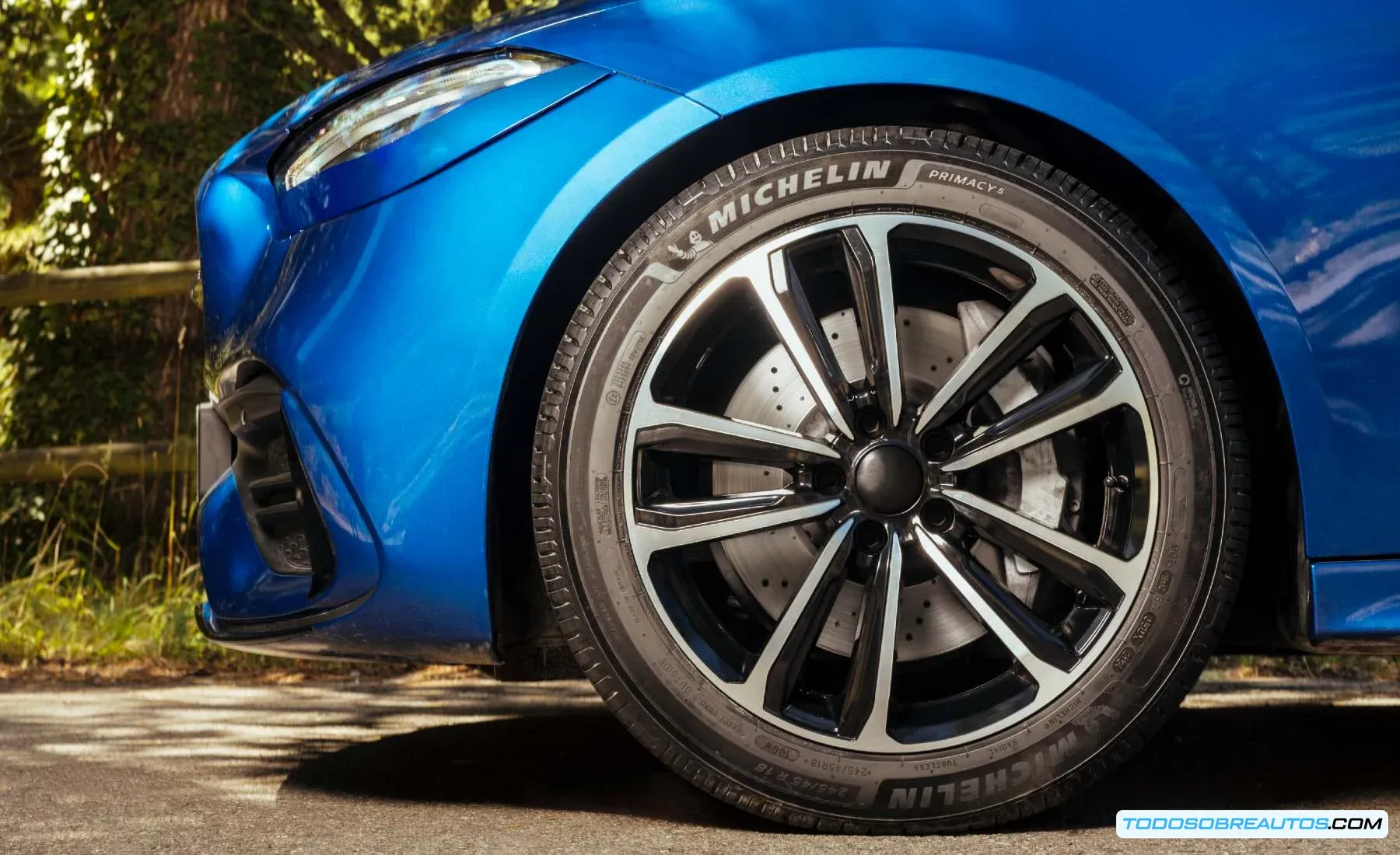 Imagen del neumático Michelin Primacy 5.